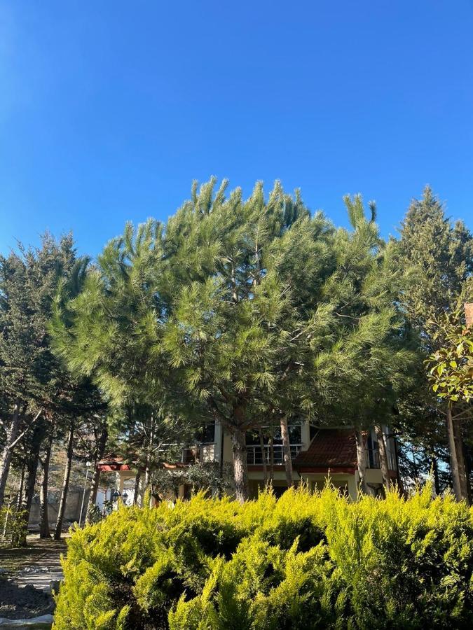 Hotel Garden Villa Ardo Голем Екстериор снимка